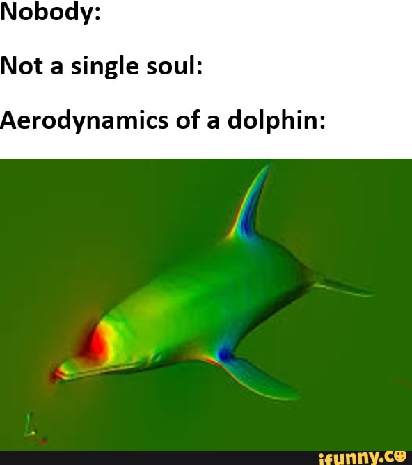 nobody-not-a-single-soul-aerodynamics-of-a-dolphin-ifunny