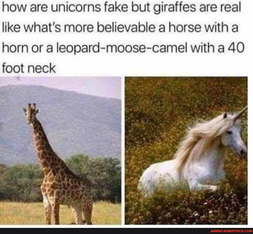 How are unicorns fake but giraffes are real like what's more believable