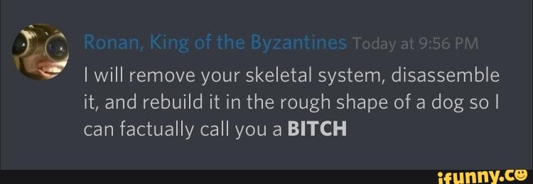 Ronan, King of the Byzantine
I will remove your skeletal system, disassemble it, and rebuild it in the rough shape of a dog so I can factually call you a BITCH