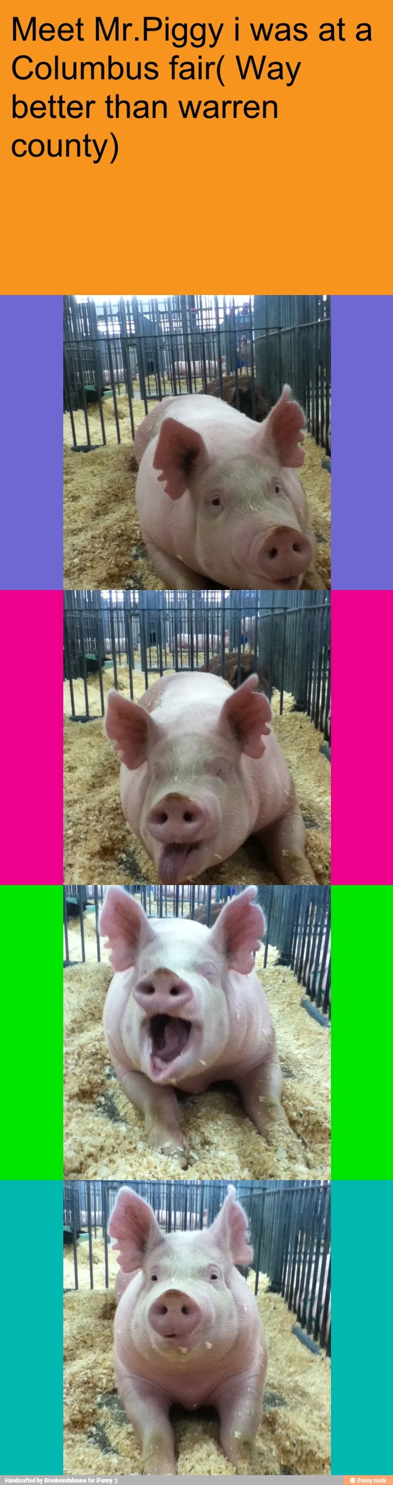Meet Mr.Piggy i was ata
Columbus fair( Way
better than warren
county)