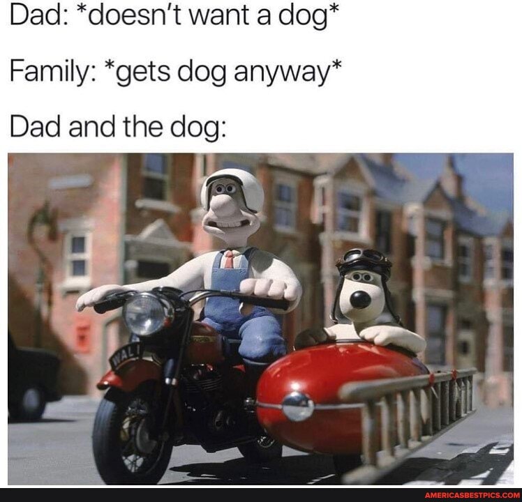 Dad: *doesn't want a dog*
Family: *gets dog anyway*
Dad and the dog: