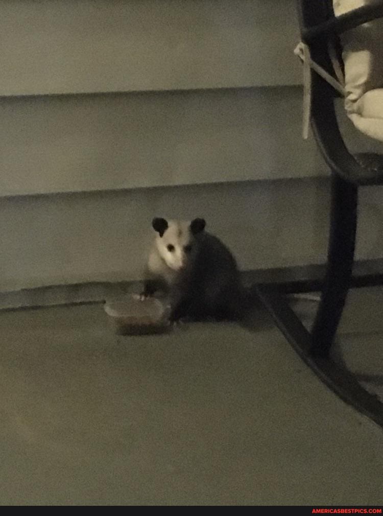 caught, red, handed