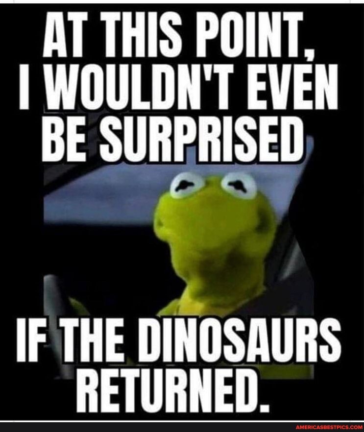AT THIS POINT,
I WOULDN'T EVEN BE SURPRISED
IF THE DINOSAURS RETURNED.