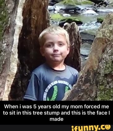 When i was 5 years old my mom forced me to sit in this tree stump and this is the face made - When i was 5 years old my mom forced me to sit in this tree stump and this is the face I made