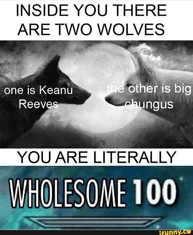 Inside you there are two wolves you are literally uholesone 100 ° e.