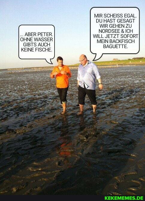ABER PETER.
OHNE WASSER GIBTS AUCH
KEINE FISCHE.
MIR SCHEISS EGAL.
DU HAST GESAGT WIR GEHEN ZU NORDSEE & ICH WILL JETZT SOFORT!
MEIN BACKFISCH BAGUETTE.