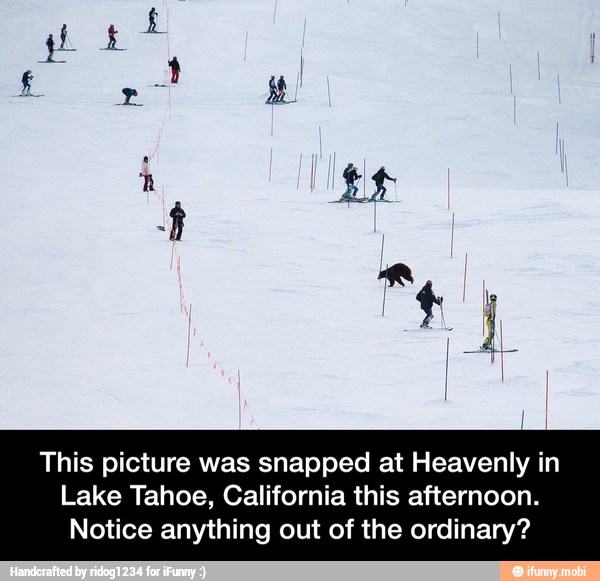 This picture was snapped at Heavenly in
Lake Tahoe, California this afternoon.
Notice anything out of the ordinary? - This picture was snapped at Heavenly in Lake Tahoe, California this afternoon. Notice anything out of the ordinary?