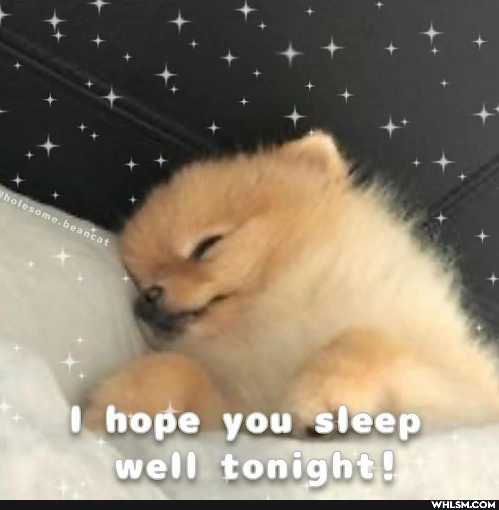 ar
hope you sleep well tonight