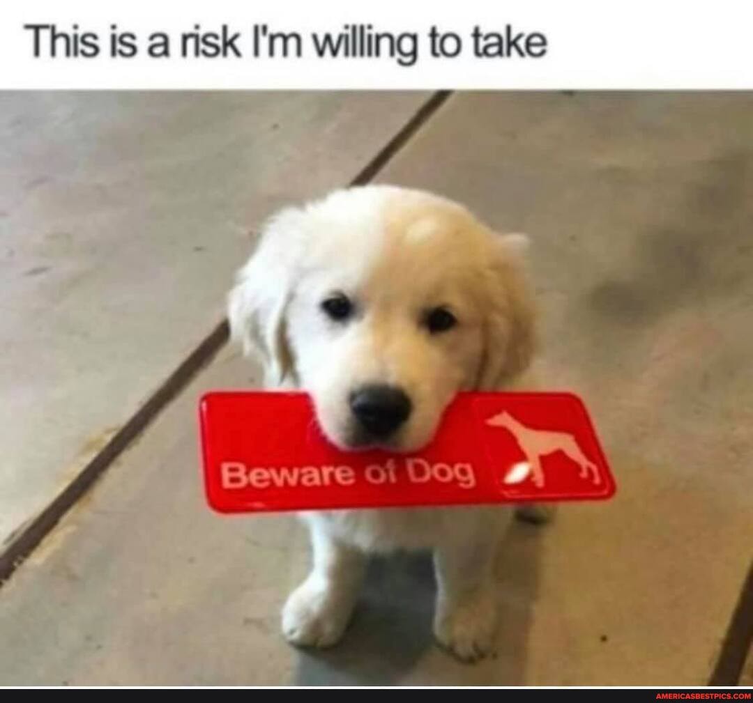 This is a risk I'm willing to take