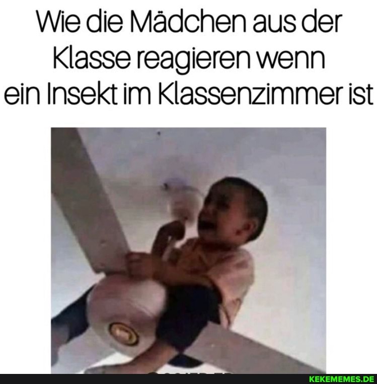 Wie die Mädchen aus der
Klasse reagieren wenn ein Insekt im Klassenzimmer ist