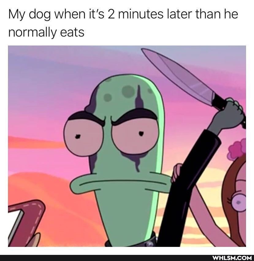 My dog when it's 2 minutes later than he normally eats