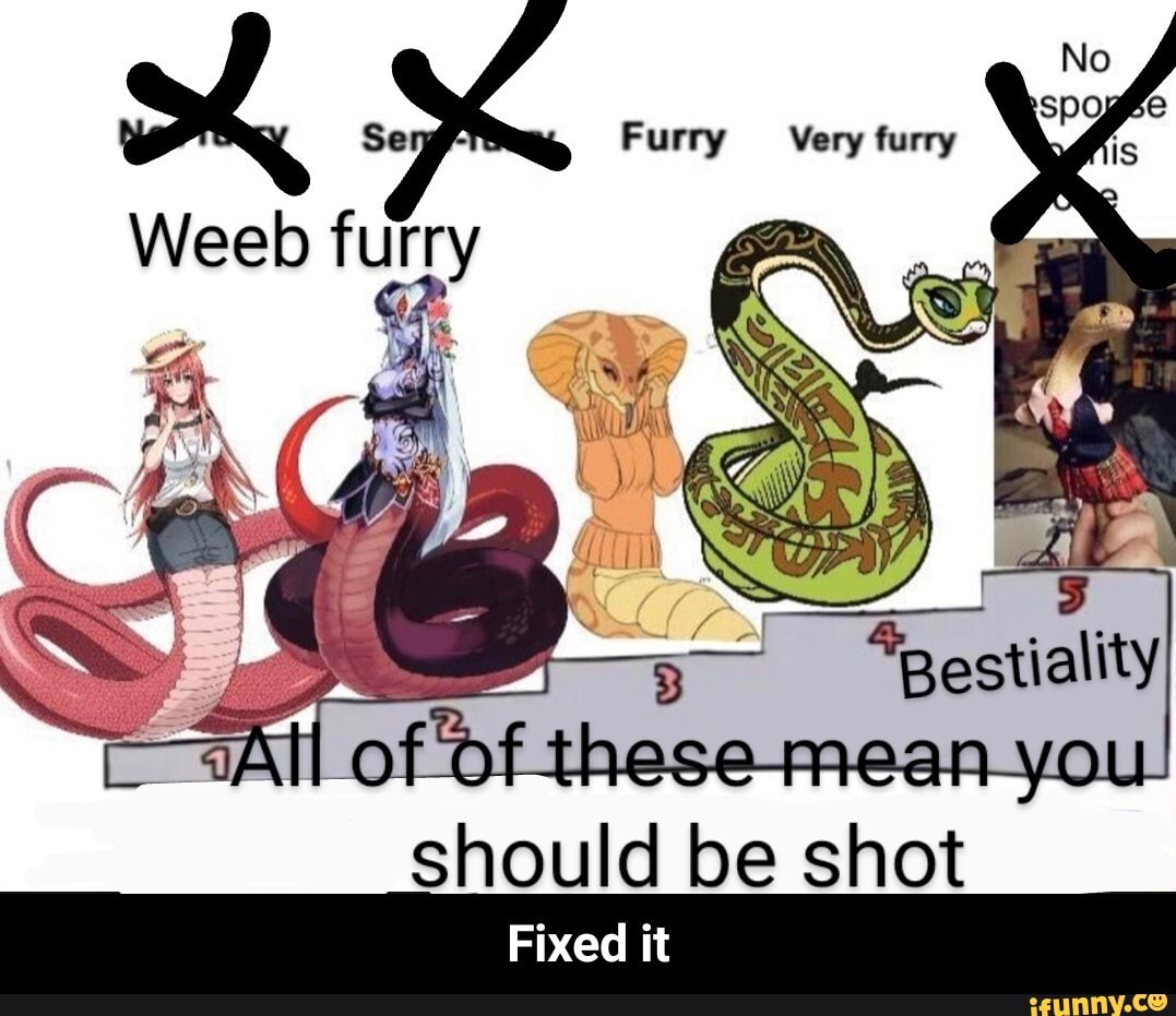 Furry 'Very furry should Bestialtiy Fixed it - Fixed it - iFunny