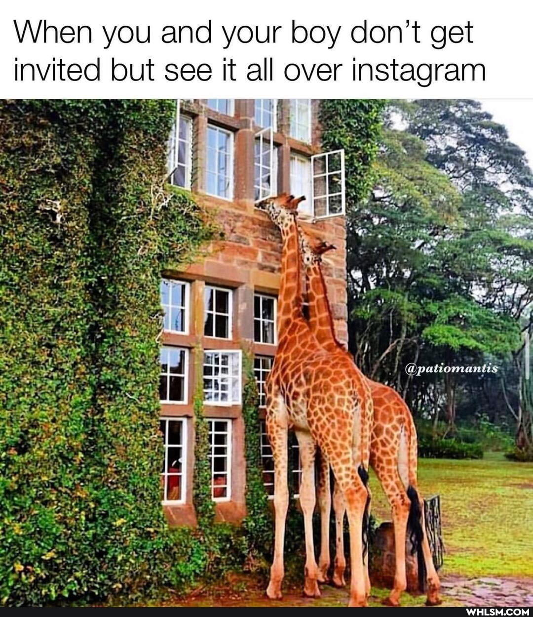 When you and your boy don't get invited but see it all over instagram
Be
@patiomantis.