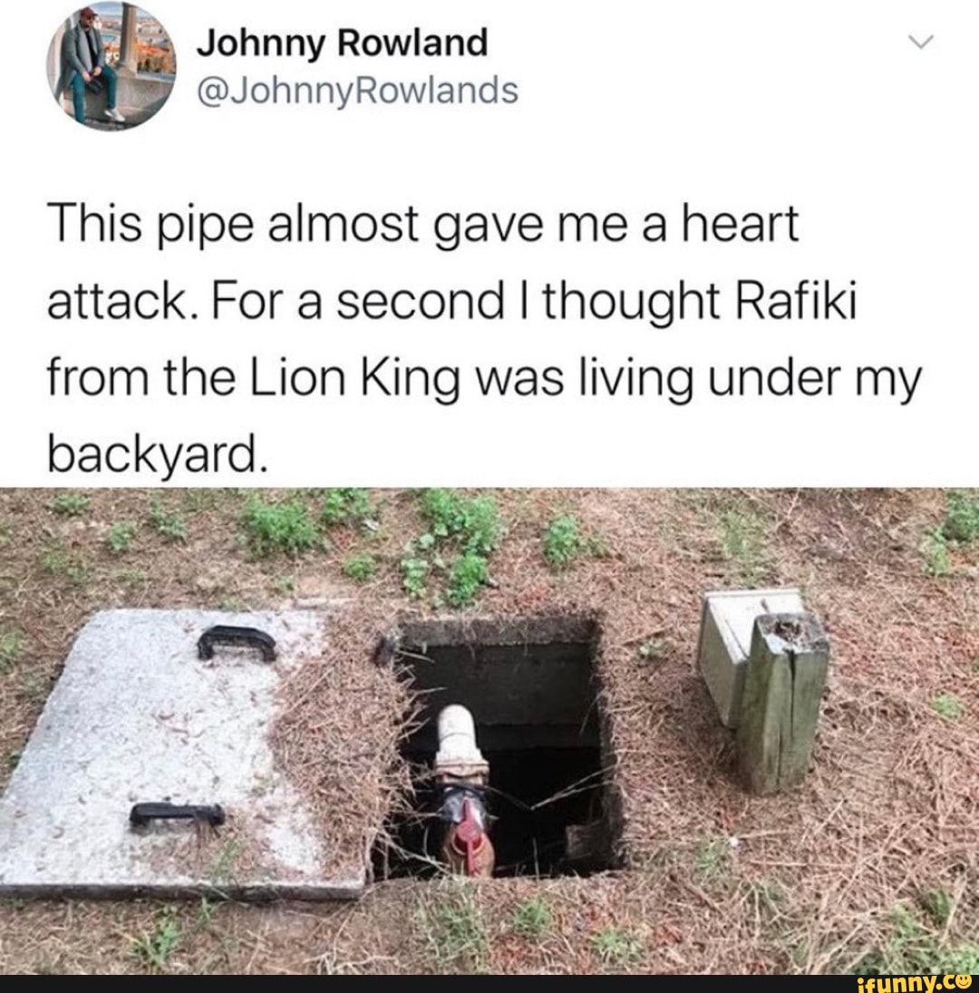 This pipe almost gave me a heart
attack. For a second I thought Rafiki
from the Lion King was living under my