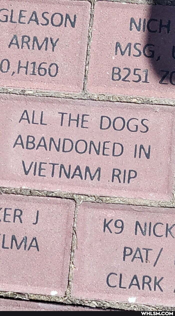 GLEASON ARMY H160
ALL THE DOGS ABANDONED IN VIETNAM RIP