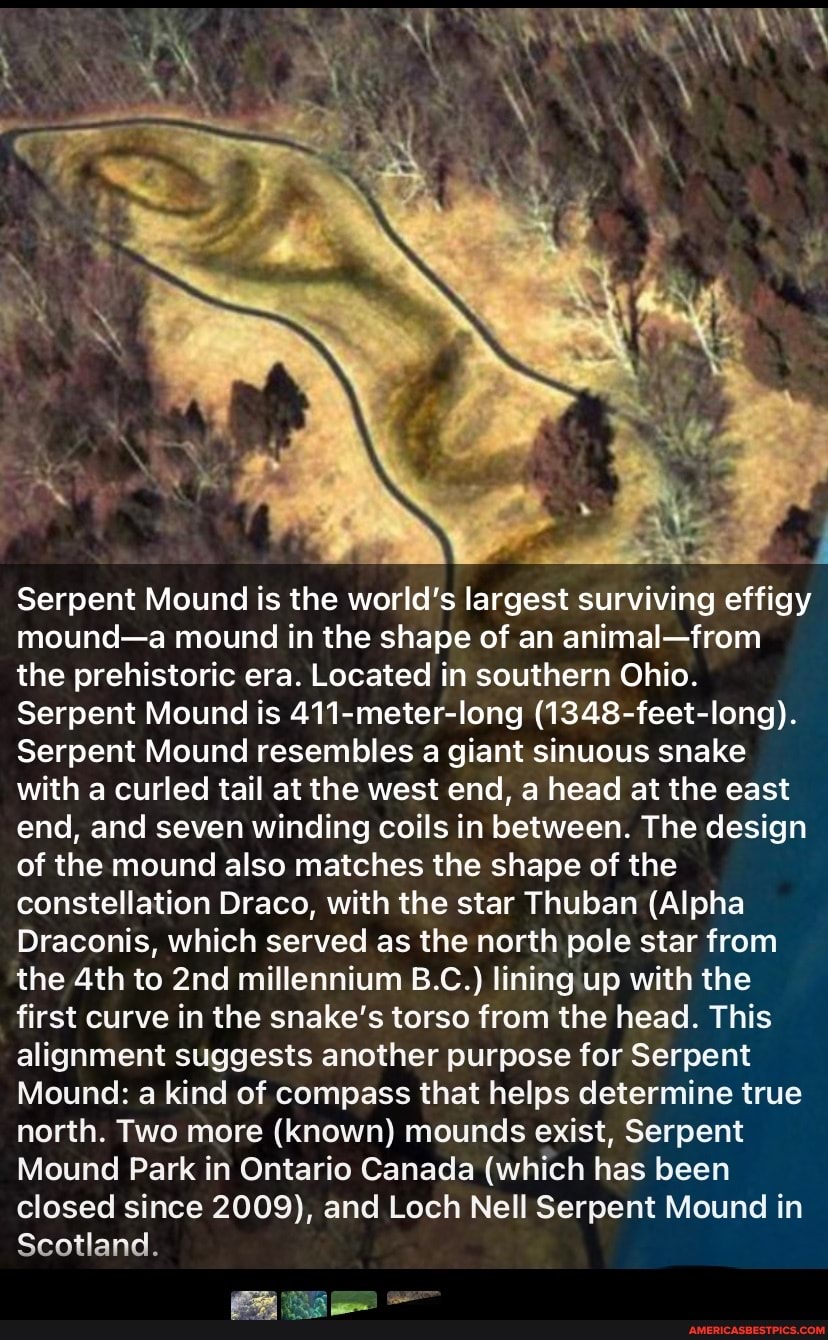 Serpent Mound is the world's largest surviving effigy mound-a mound in ...