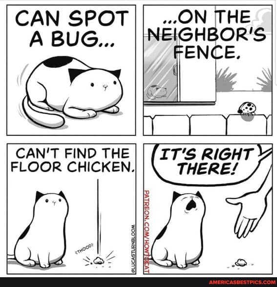 CAN SPOT A BUG..,
CAN'T FIND THE FLOOR CHICKEN.