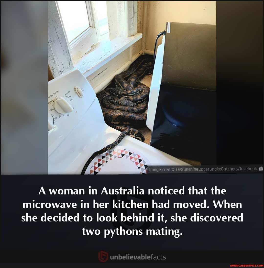 N/A - A Woman In Australia Noticed That The Microwave In Her Kitchen ...