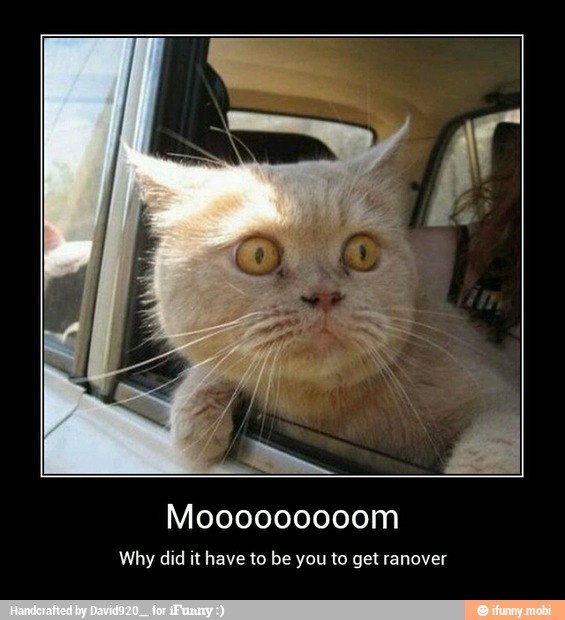 Why did it have to be you to get ranover - Mooooooooom
Why did it have to be you to get ranover