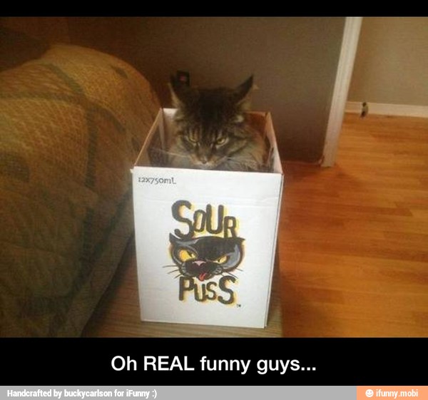 Oh REAL funny guys... - Oh REAL funny guys...