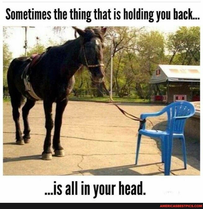 Sometimes the thing that is holding you back...
_is all in your head.