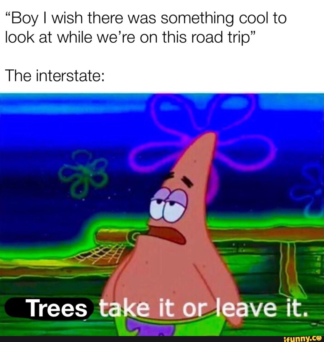 "Boy I wish there was something cool to
look at while we're on this road trip"
The interstate:
Trees take it or leave it.