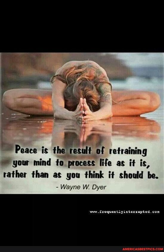 Peace is the result of retraining your mind to process [i life as it is, rather than as you think it should be.
- Wayne W. Dyer
com