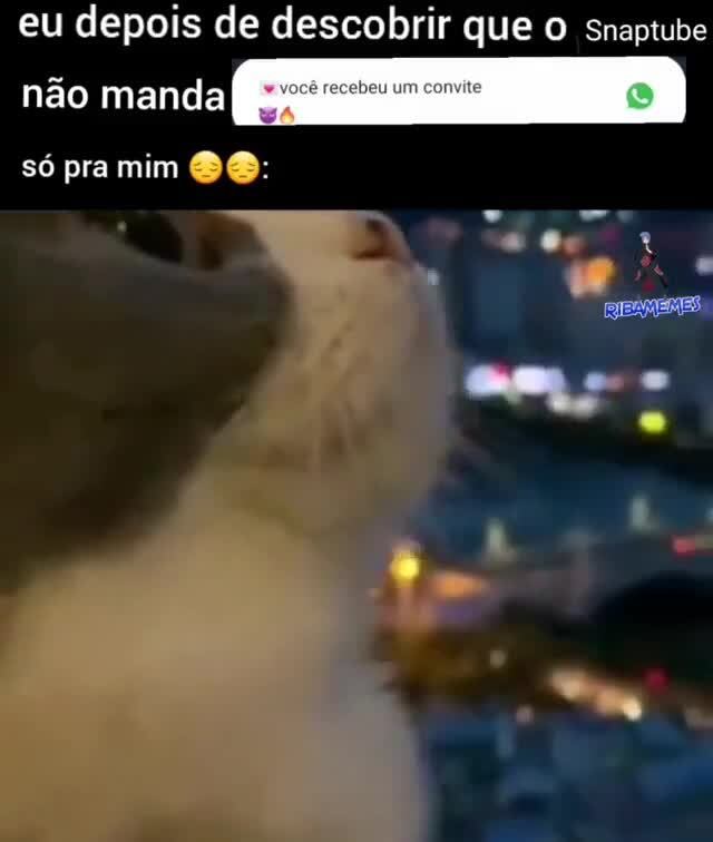 Respondendo a duvida do teddy sobre o snaptube : r/famiL