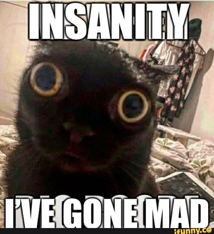 insanity-rve-gone-mad-ifunny