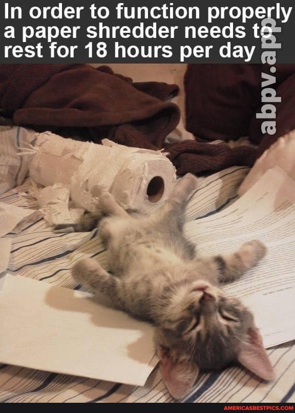 In order to function properly a paper shredder needs te rest for 18 hours per day