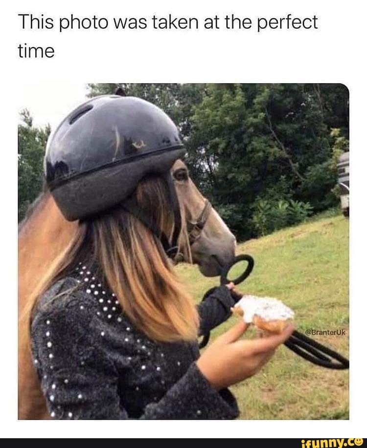 This photo was taken at the perfect time