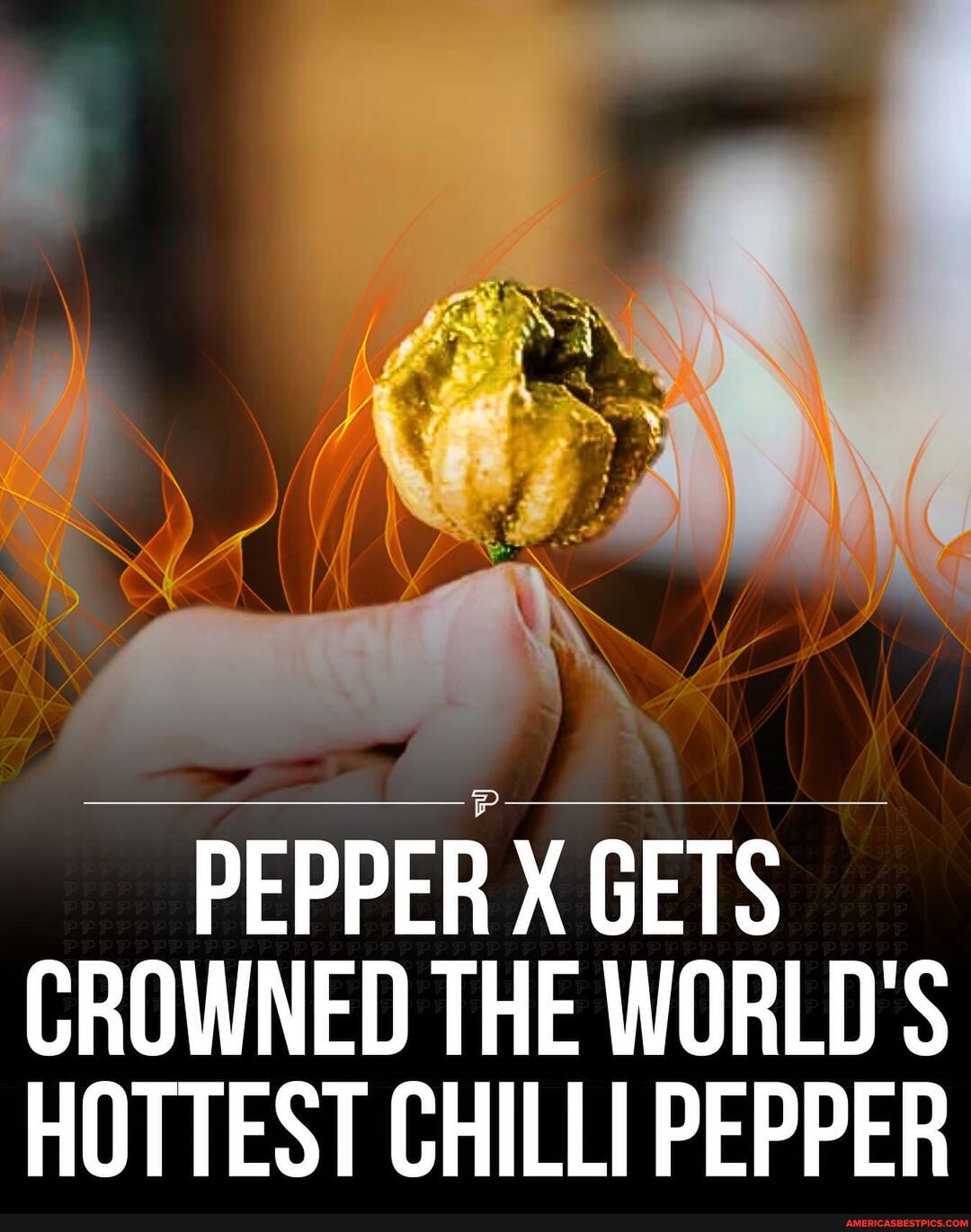 Guinness World Records Crowns a New Hottest Pepper: Pepper X