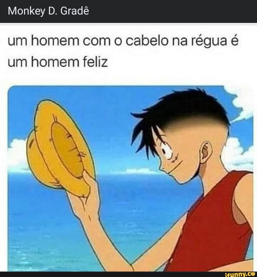 Monkey D. Gradê
um homem com o cabelo na régua é um homem feliz