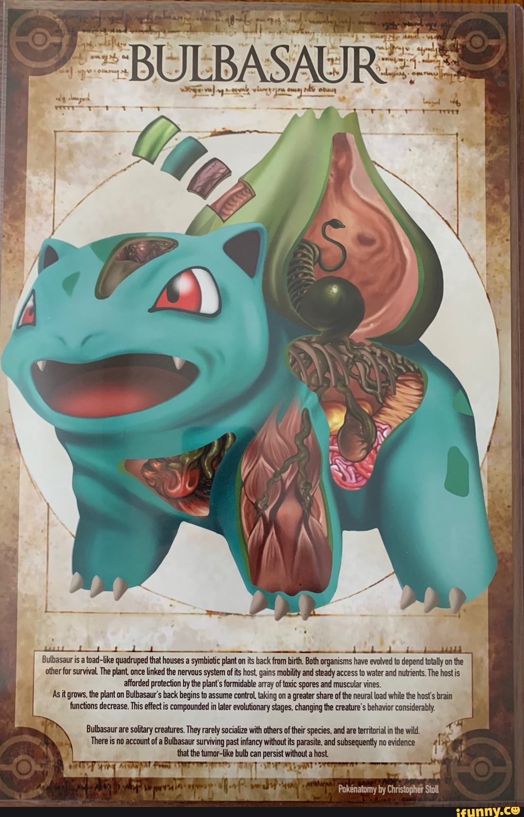 Bulbasaur is a toad-like quadruped that houses a symbiotic plant on its ...