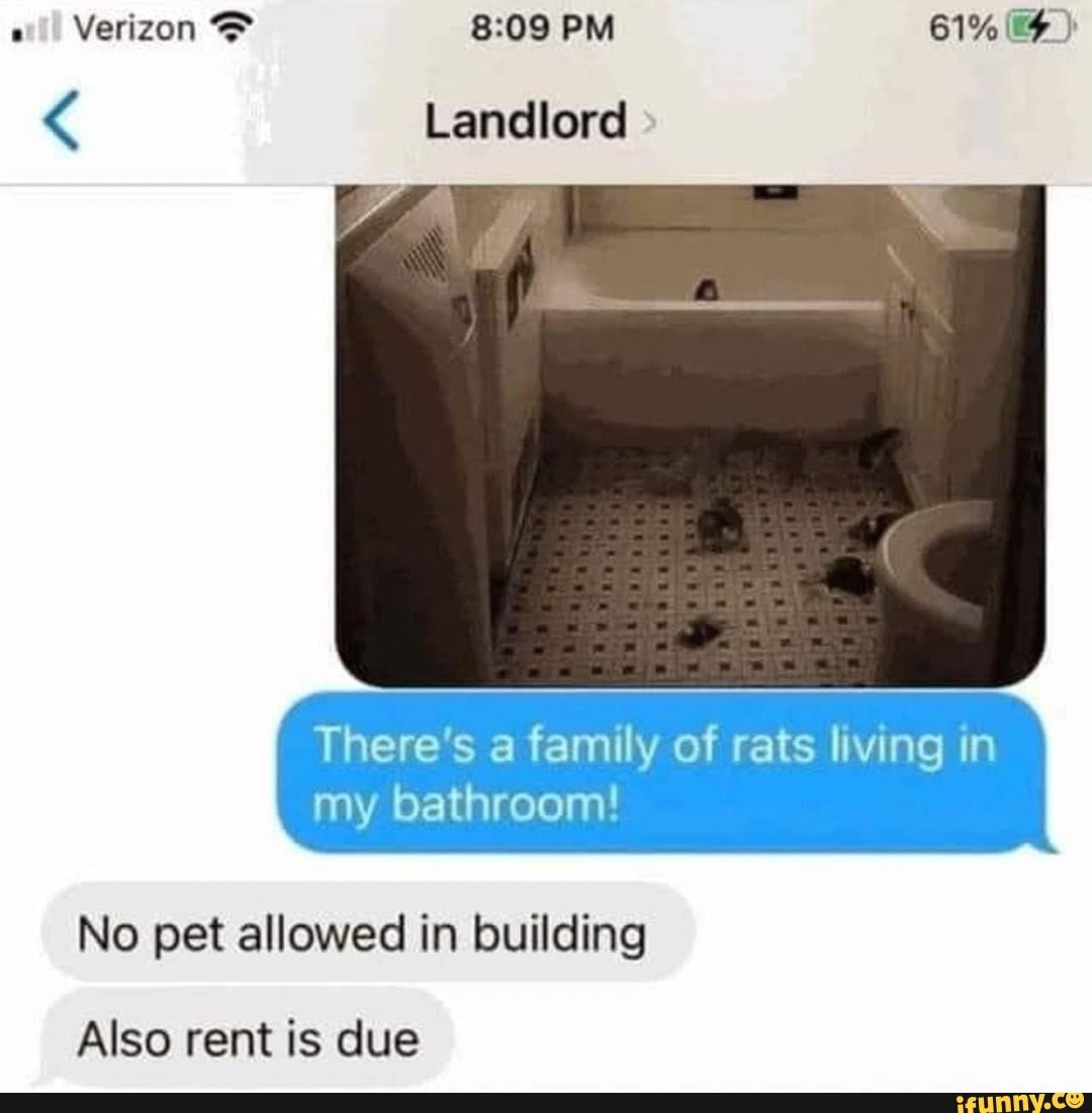 Verizon PM Landlord There's a family of rats living in my bathroom! No