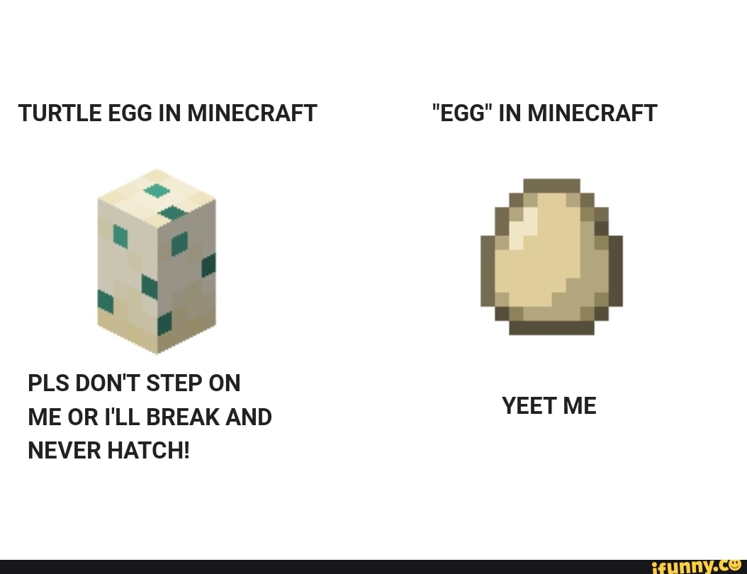 turtle-egg-in-minecraft-egg-in-minecraft-pls-don-t-step-on-me-or-i-ll