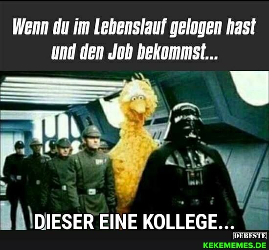 Wenn du im Lebenslauf gelogen hast und den Job bekommst...
EINE KOLLEGE...
DE