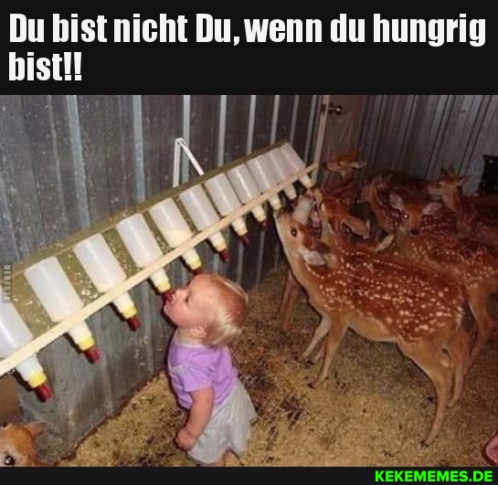 Du Bist aicht In, wenn du hungrig bist!
IM