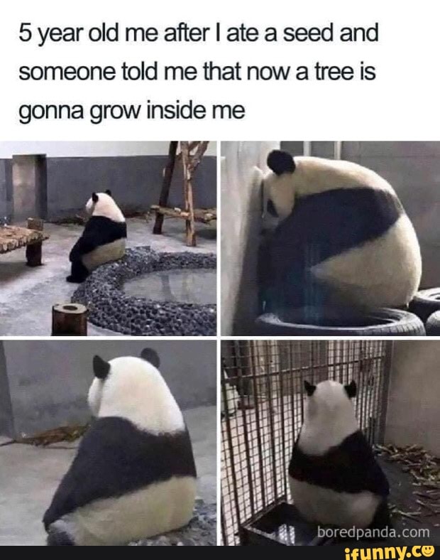 5 year old me after I ate a seed and someone told me that now a tree is gonna grow inside me