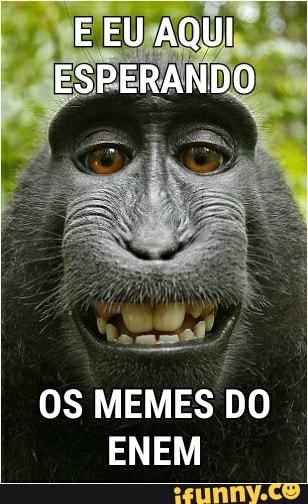 OS MEMES DO
ENEM