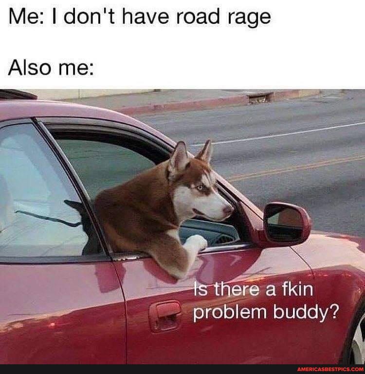 Me: I don't have road rage
Also me:
problem buddy?