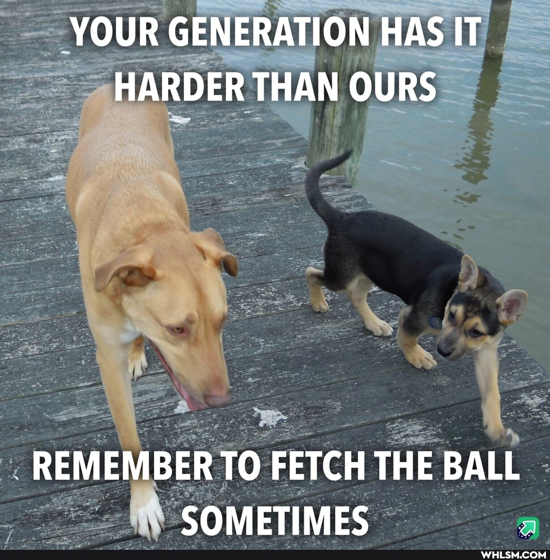 YOUR GENERATION HAS IT HARDER THAN OURS
REMEMBER TO FETCH THE BALL SOMETIMES