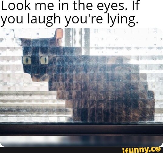 Look me In the eyes. IT you laugh you're lying.
