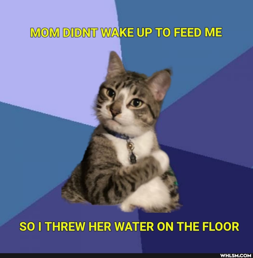 MOM DIDNT WAKE UP TO FEED ME
SO THREW HER WATER ON THE FLOOR