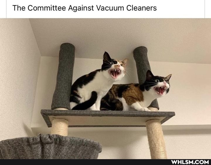 The Committee Against Vacuum Cleaners