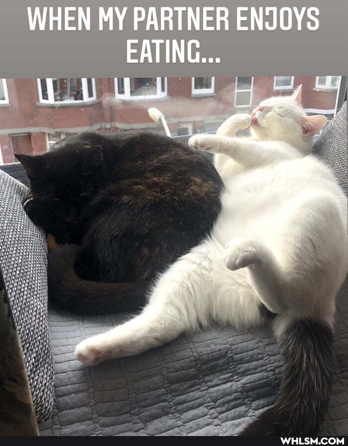 WHEN MY PARTNER ENJOYS EATING...