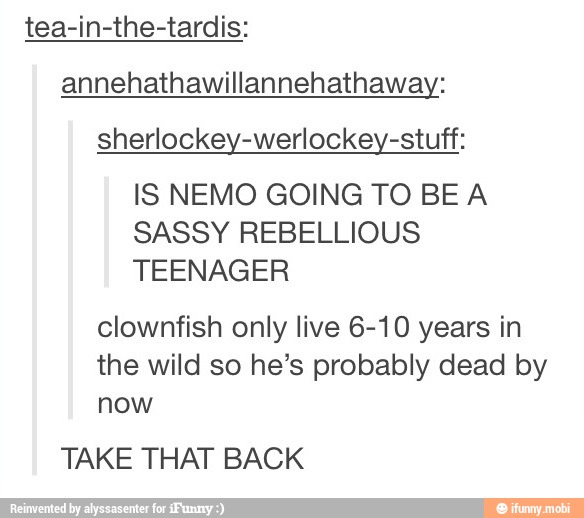 tea-in-the-tardis:
annehathawillannehathaway:
sherlockey-werlockey-stuff:
IS NEMO GOING TO BEA
SASSY REBELLIOUS
TEENAGER
clownfish only live 6-10 years in
the wild so he's probably dead by
now
TAKE THAT BACK