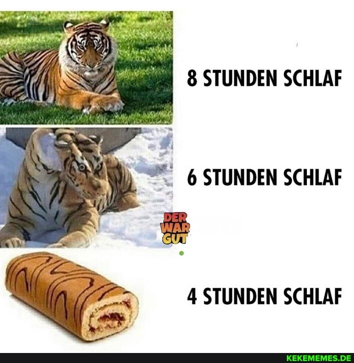 SUURIDERN SCHLAF
SCHLAF
STUNDEN SCHLAF