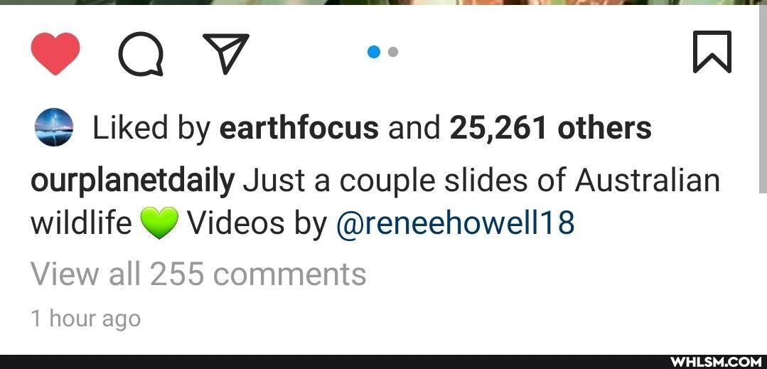 aA
Liked by earthfocus and 25,261 others
ourplanetdaily Just a couple slides of Australian wildlife Videos by @reneehowell18
View all 255 comments
1 hour ago