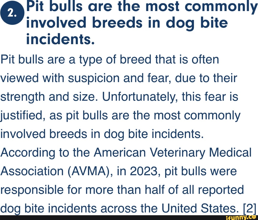 Pit bulls are the most commonly involved breeds in dog bite incidents